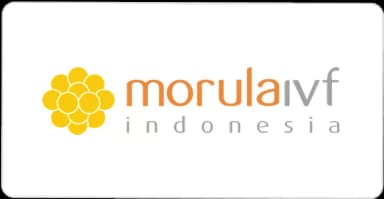 morula