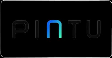 pintu