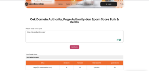 Cara Mengetahui Skor Page Authority