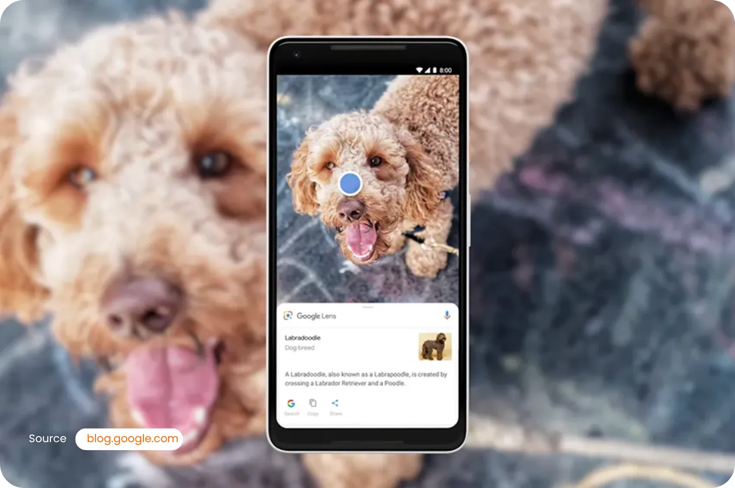 Google Lens 