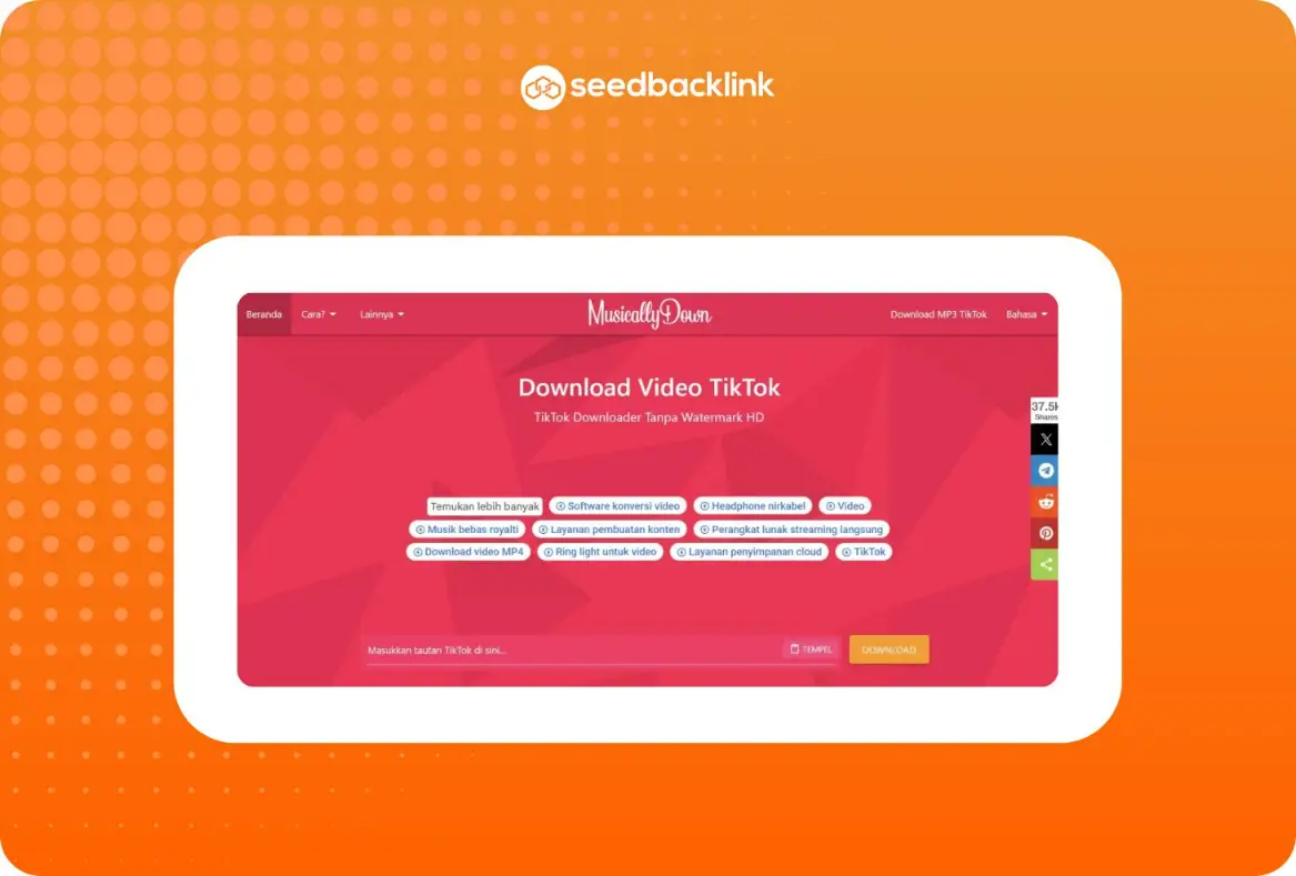 Download Video TikTok MusicallyDown