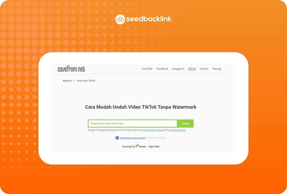 Download video TikTok SaveFrom